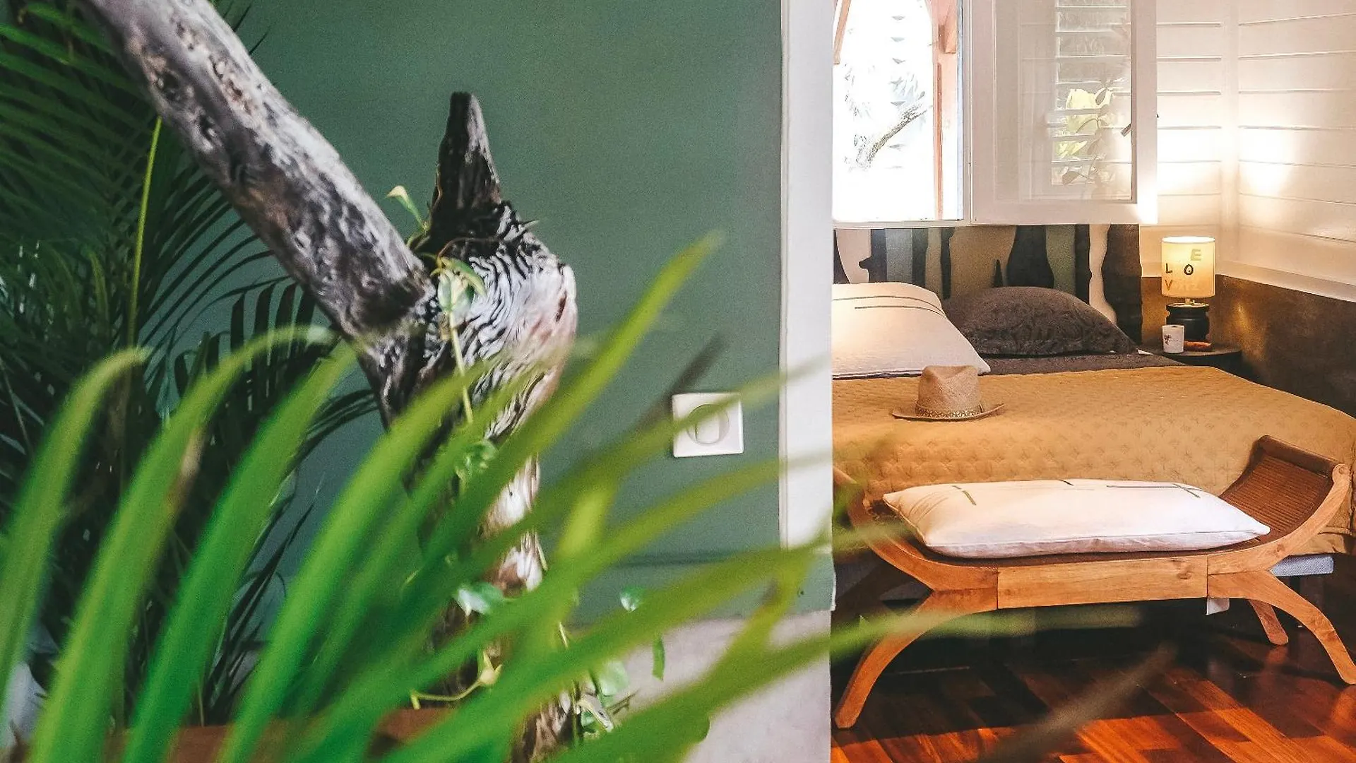 Guest house Le Baobab Rouge - Maison D'Hotes Reservee Aux Femmes Le Lamentin