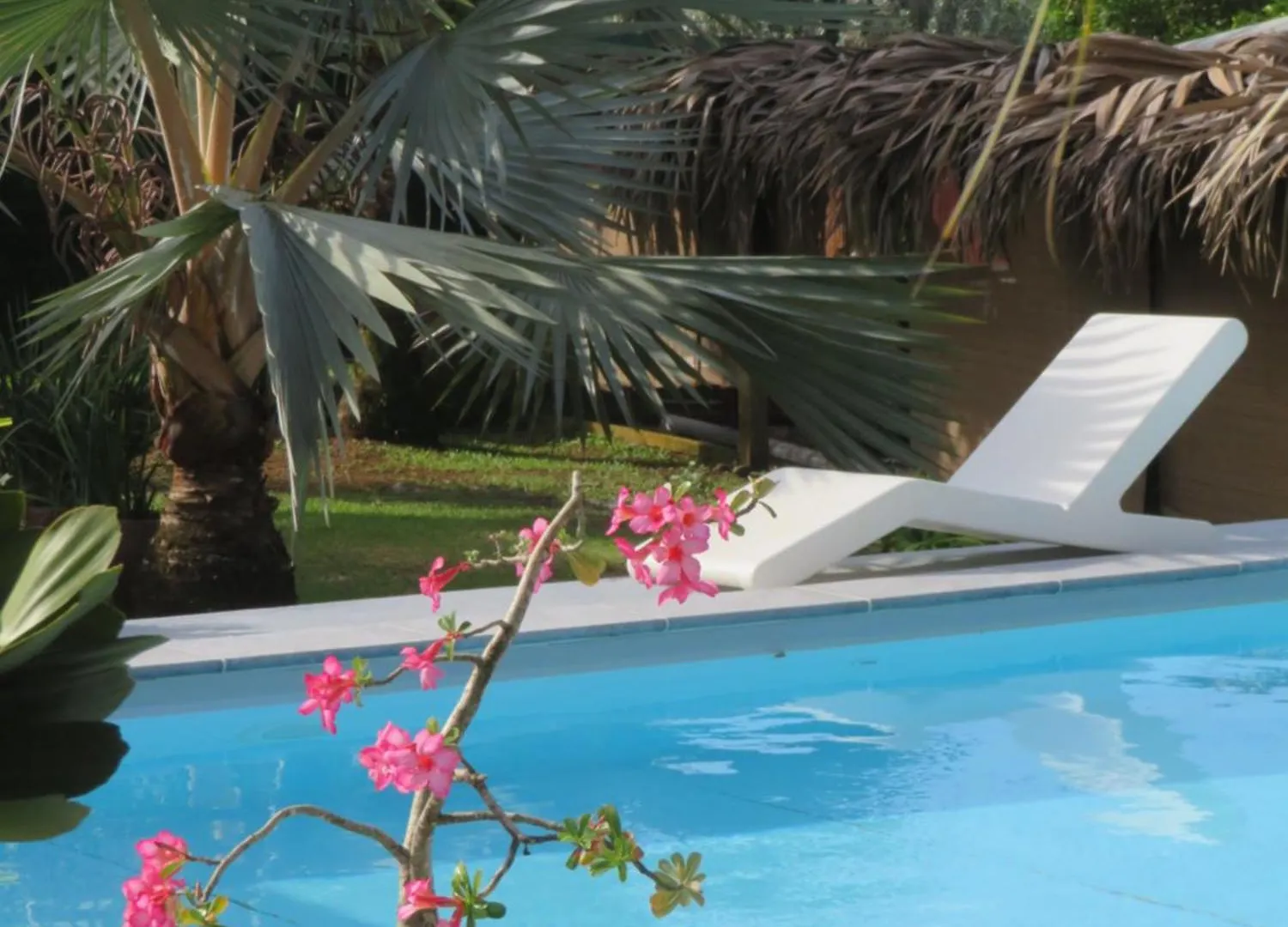 Guest house Le Baobab Rouge - Maison D'Hotes Reservee Aux Femmes Le Lamentin Martinique